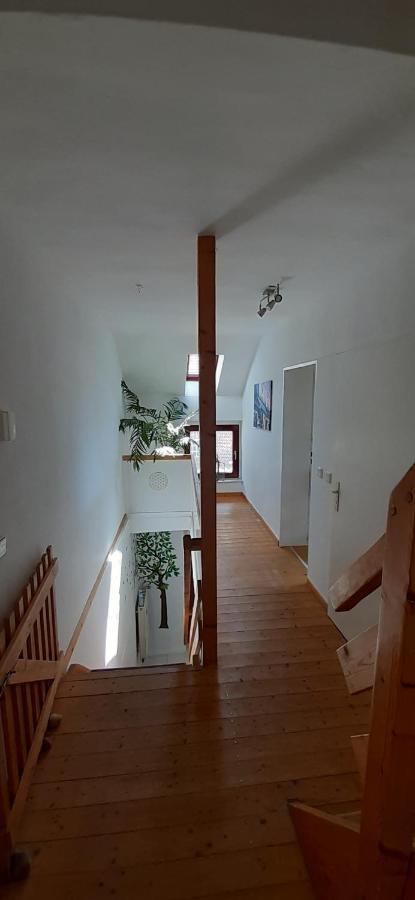 Casa Mediterrana II 埃克拉特 外观 照片